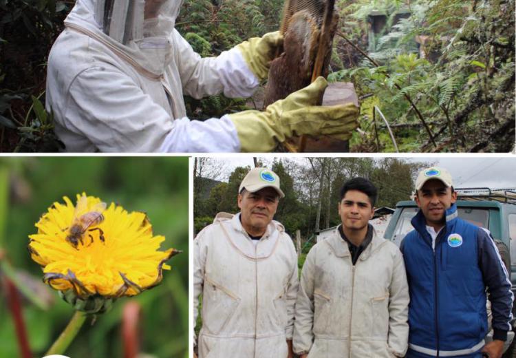 corpoguavio-comprometido-con-los-apicultores