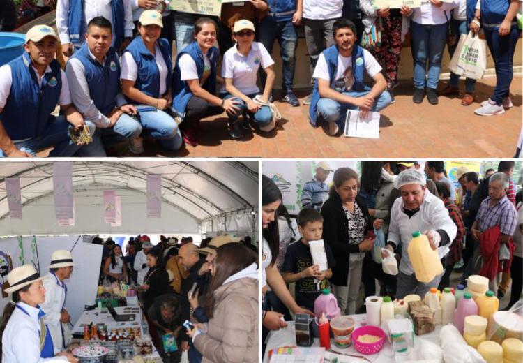 reporte-feria-3 