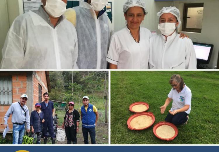 sistemas-de-produccion