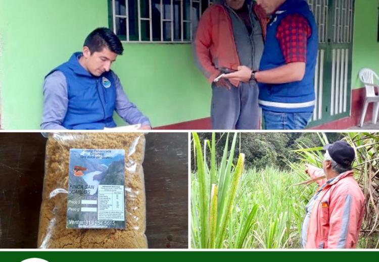 verificacion-de-criterios