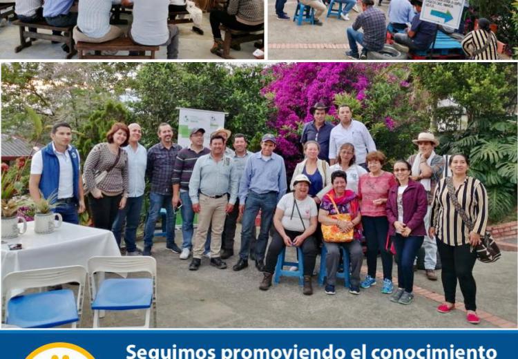 Noticia