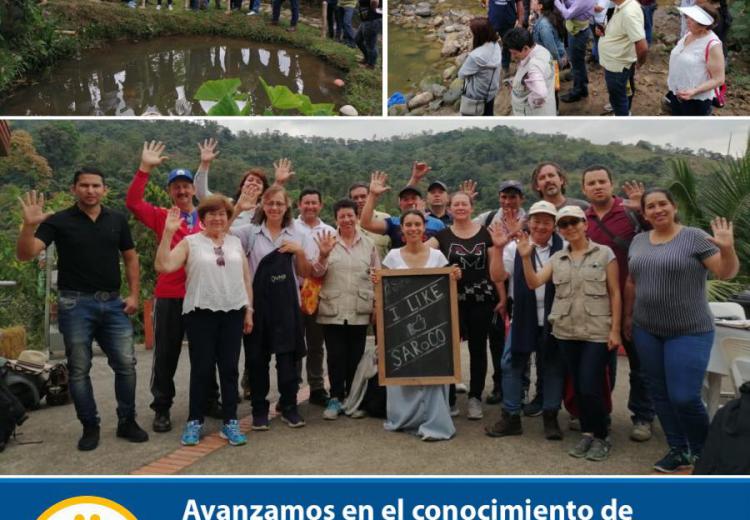 noticia