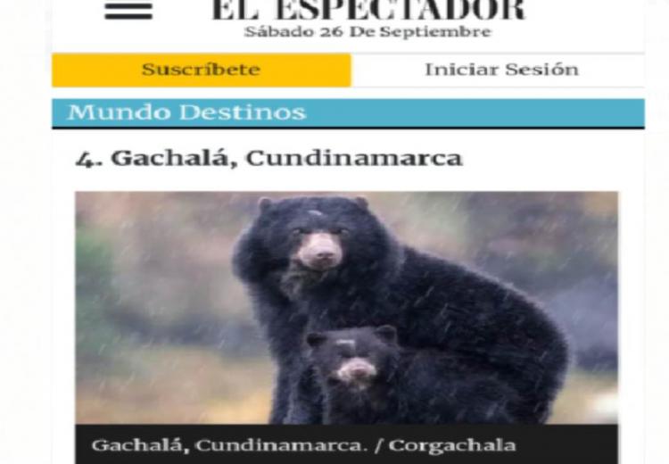 noticia