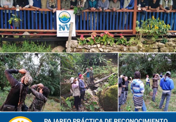 noticia
