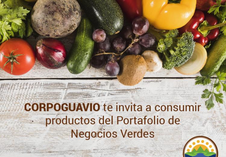 noticia
