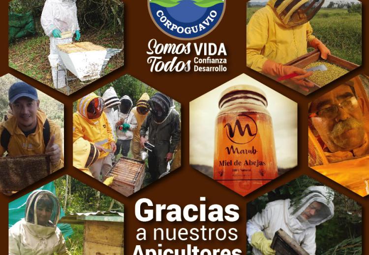 noticia