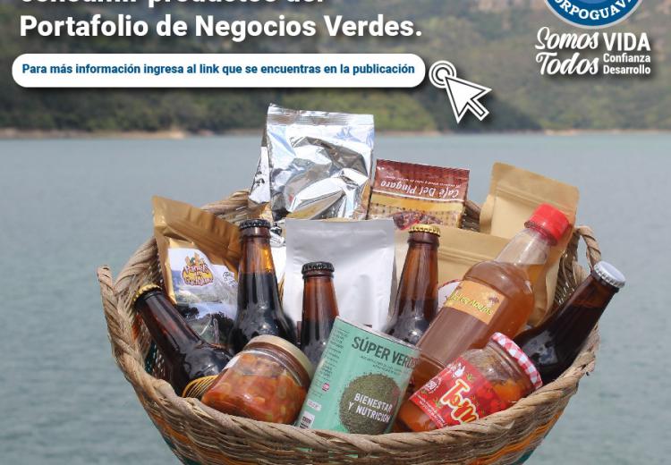 noticia