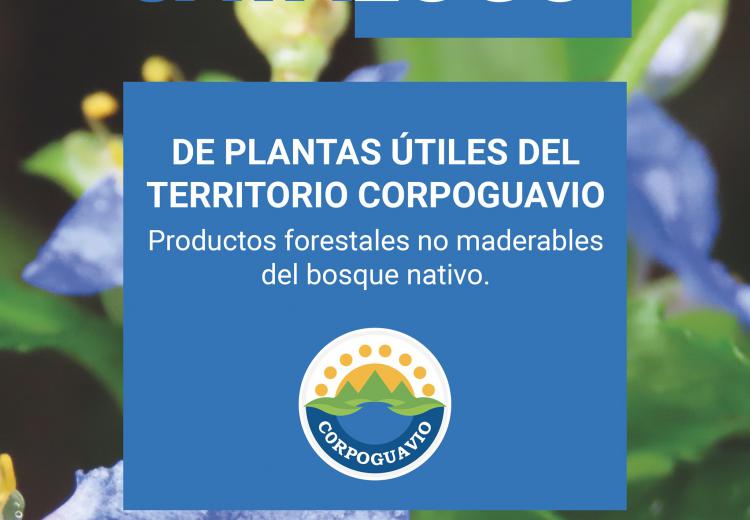 noticia