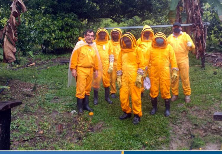 noticia