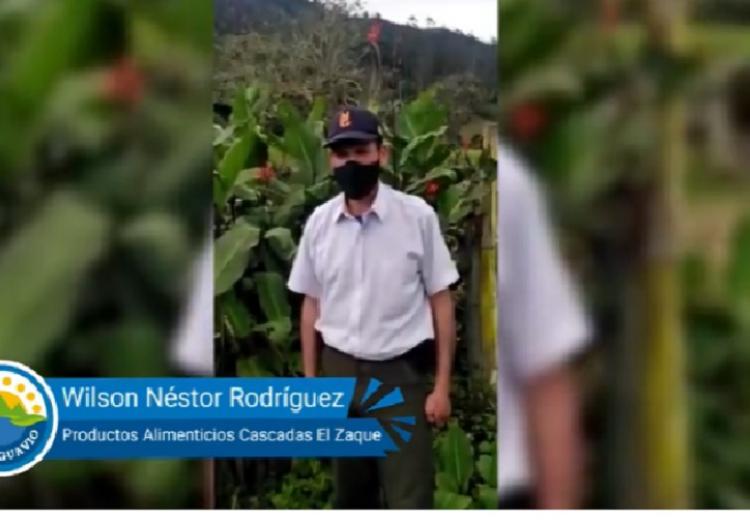 noticia
