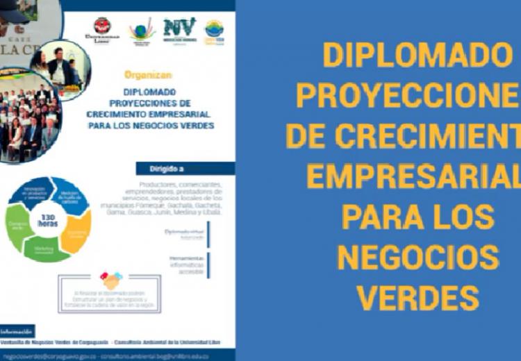 noticia