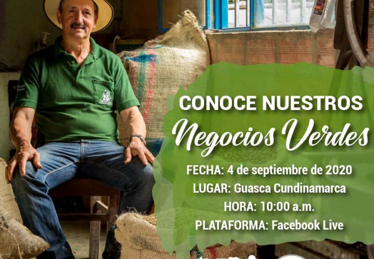 noticia