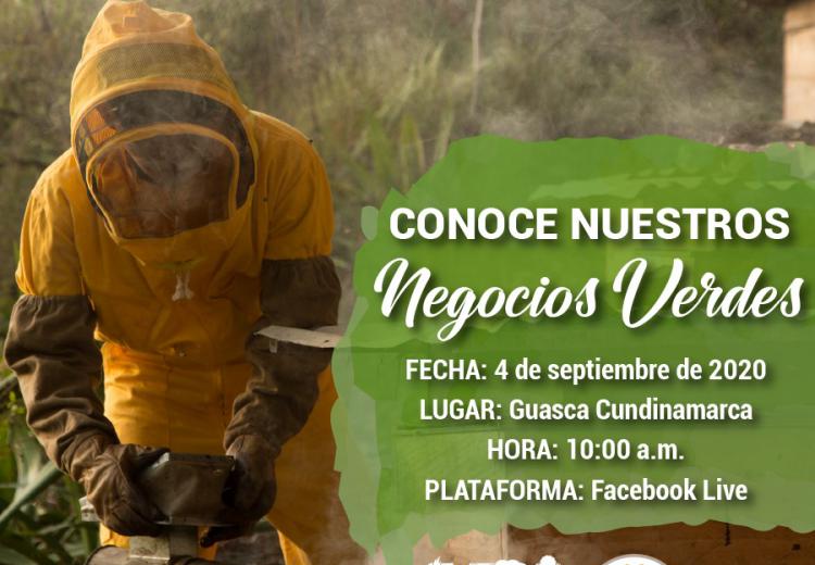 noticia