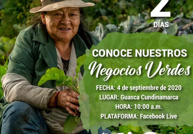 noticia