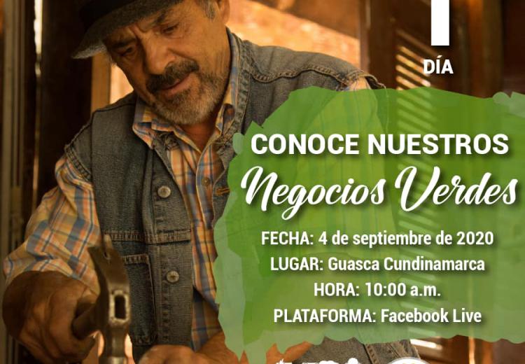 noticia
