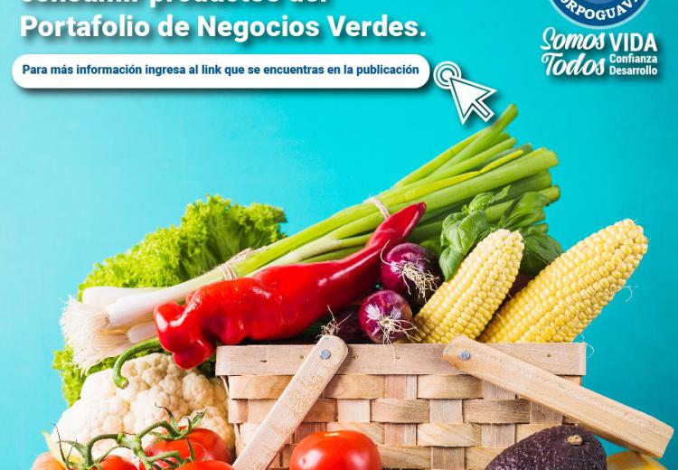 noticia