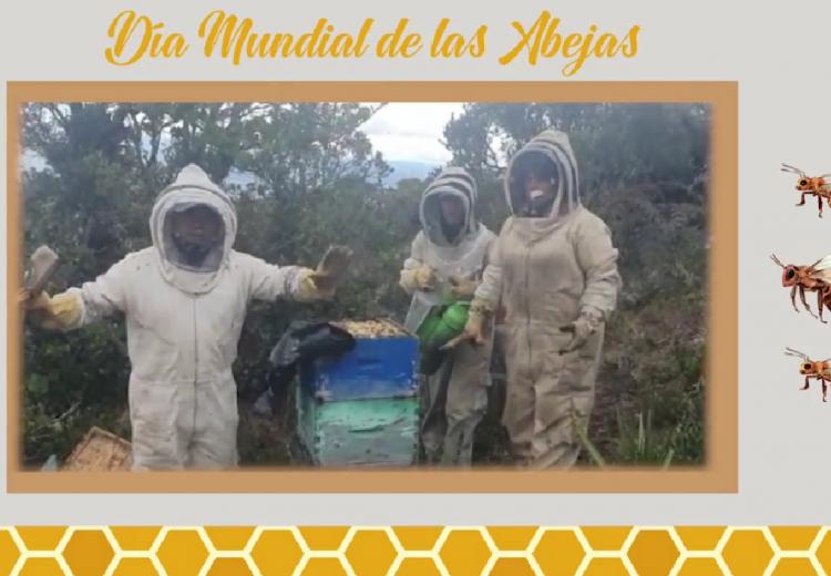 noticia
