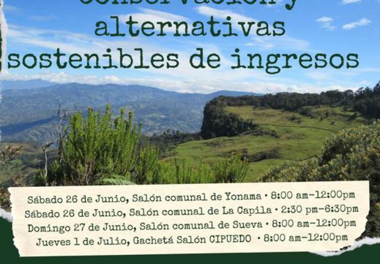 noticia