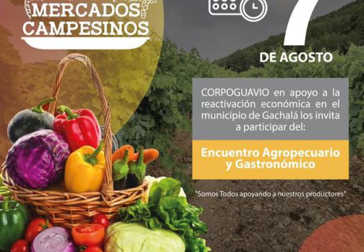 noticia