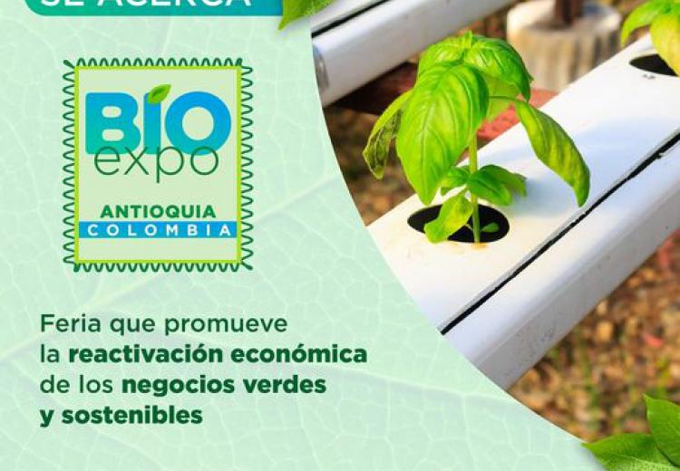 noticia