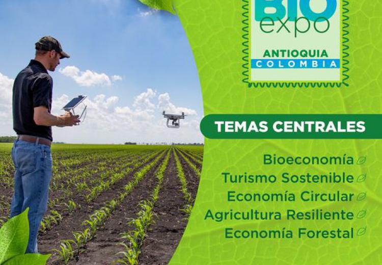 noticia