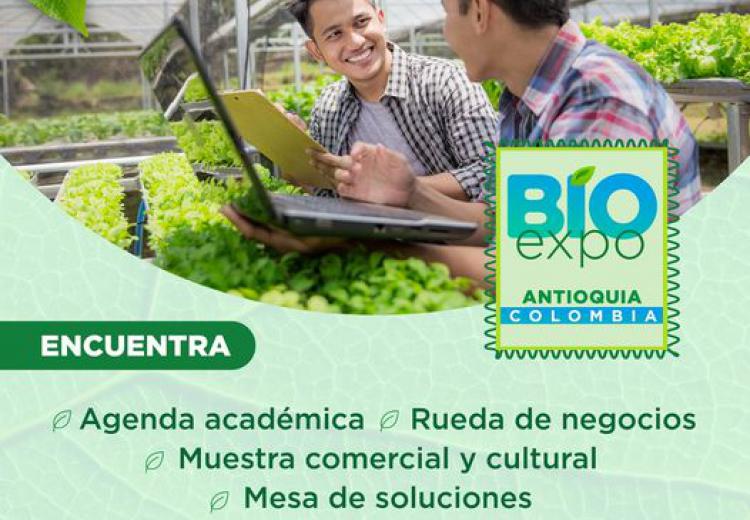 noticia