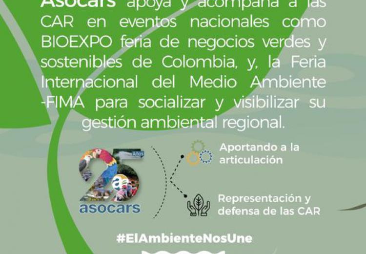 noticia