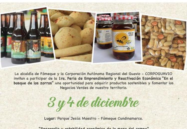 noticia