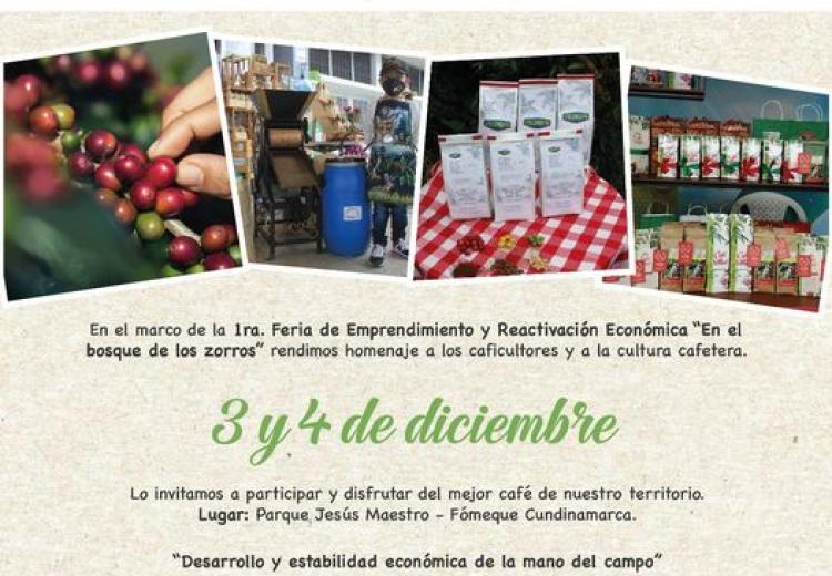noticia