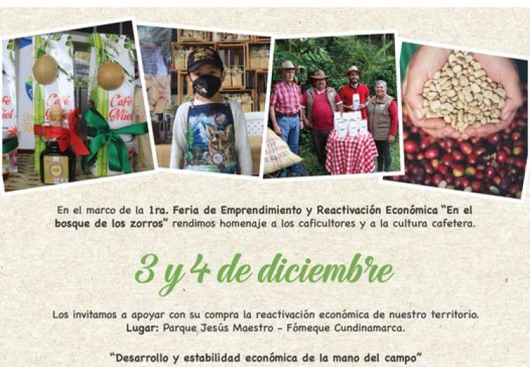 noticia