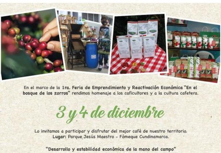 noticia