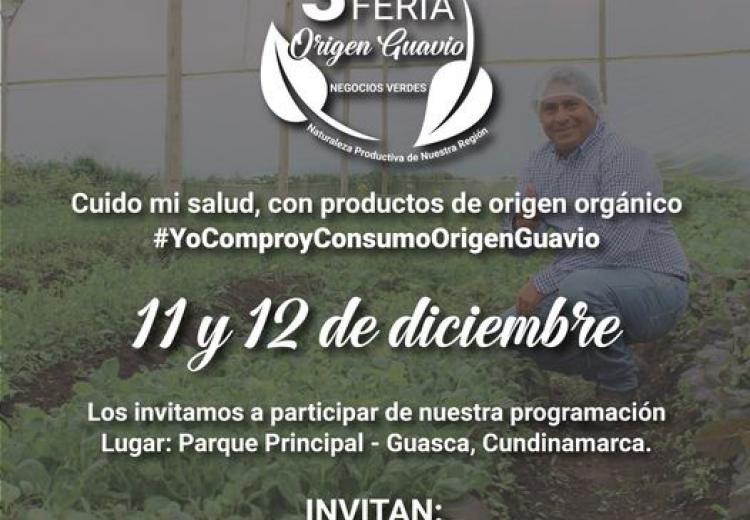 noticia