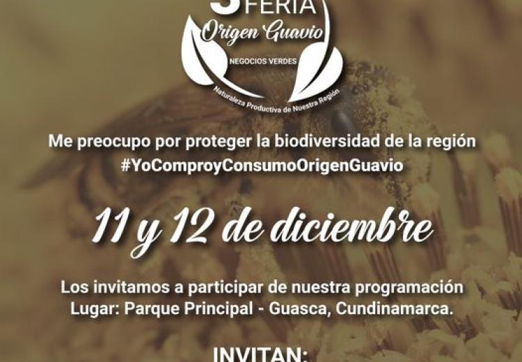 noticia