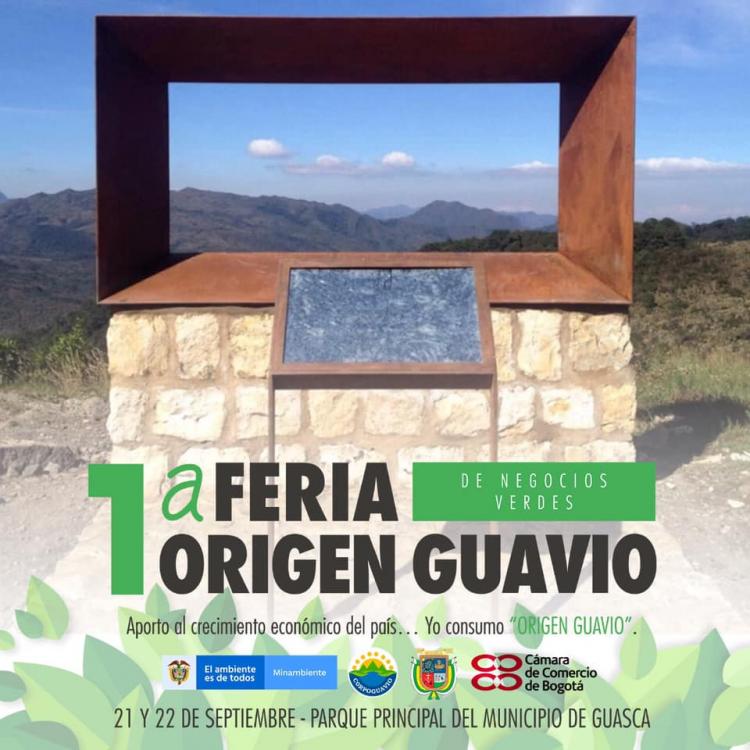 expectativa-de-feria-nv