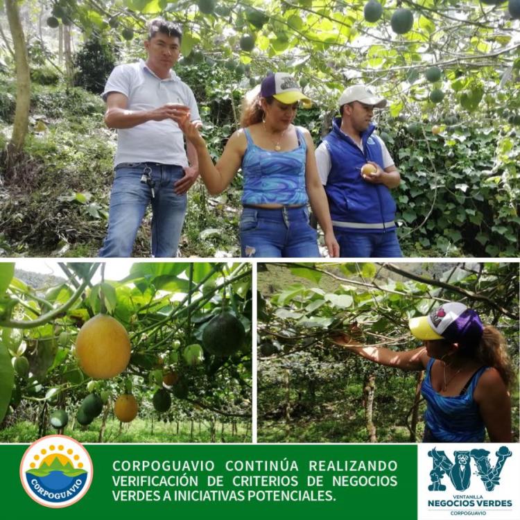 corpoguavio-continua-realizando