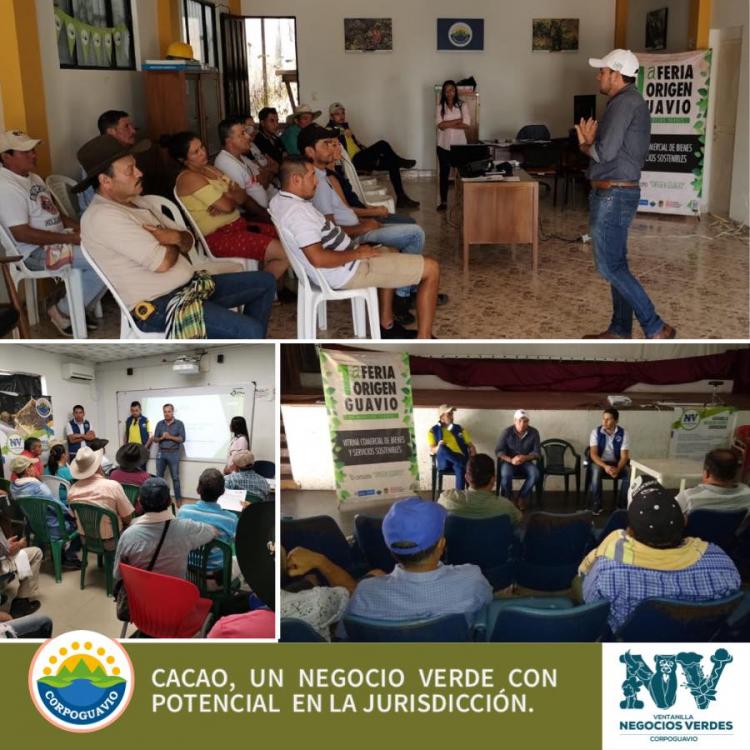 cacao-un-negocio