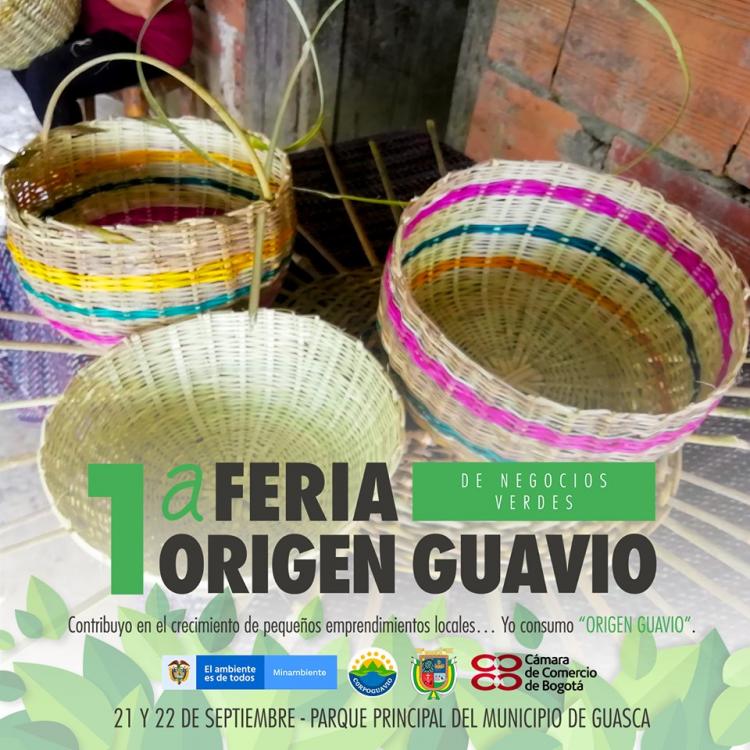 campana-de-expectativa