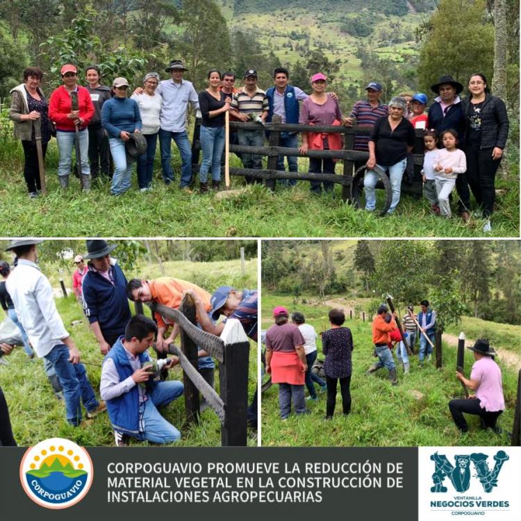 corpoguavio-promueve-la-reduccion