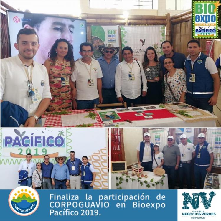 finaliza-participacion