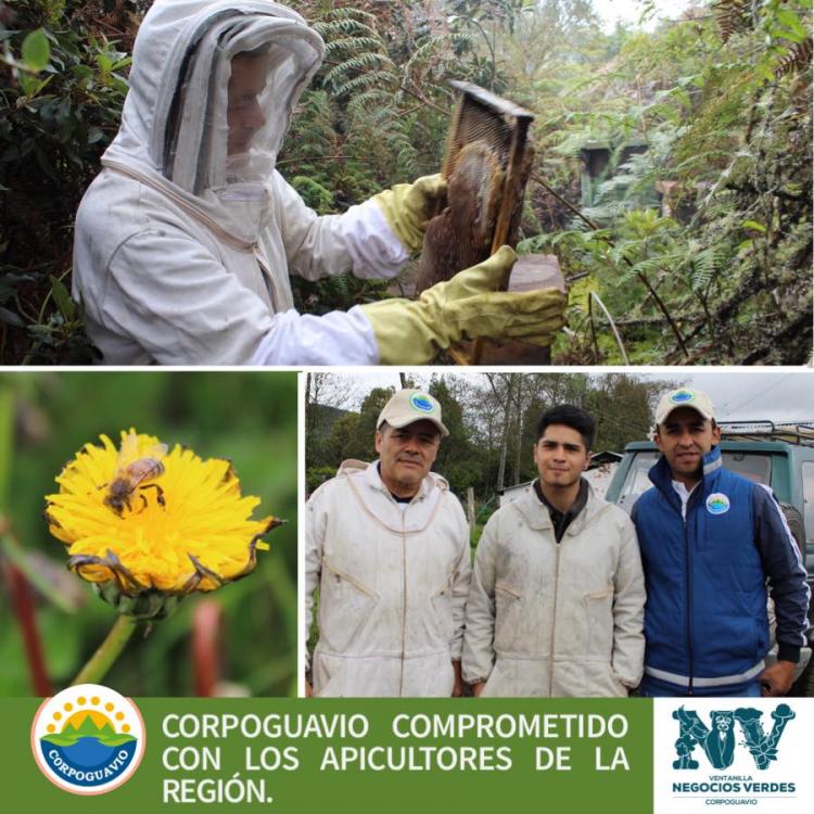 corpoguavio-comprometido-con-los-apicultores