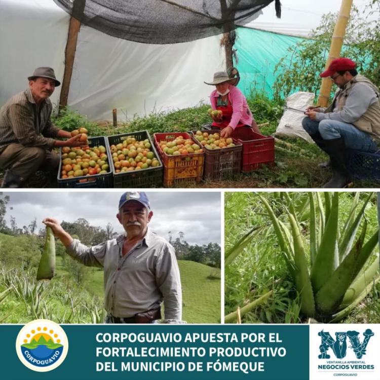 corpoguavio-apuesta-por-el-fortalecimiento