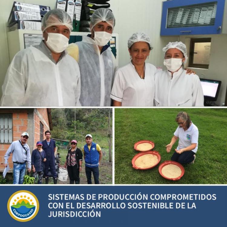 sistemas-de-produccion