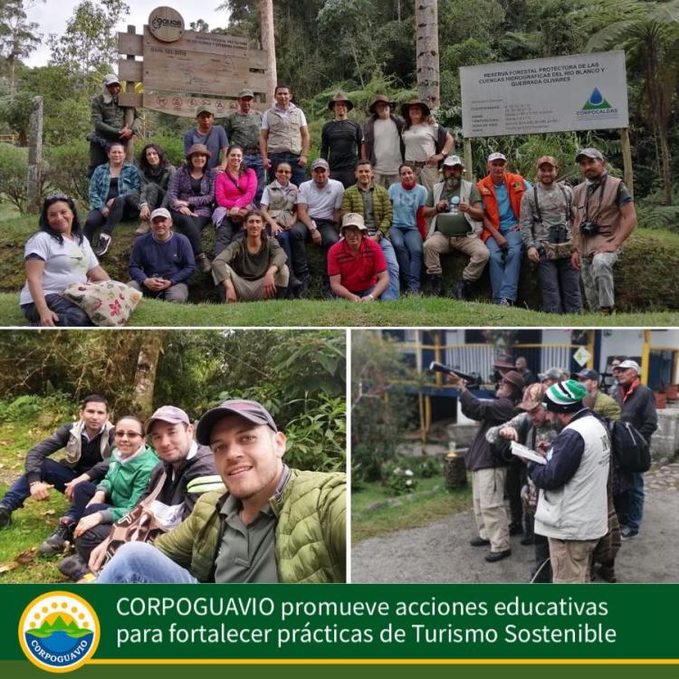 acciones educativas