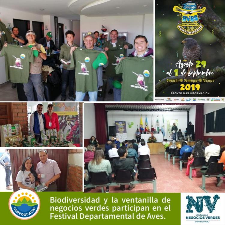 biodiversidad-y-la-ventanilla