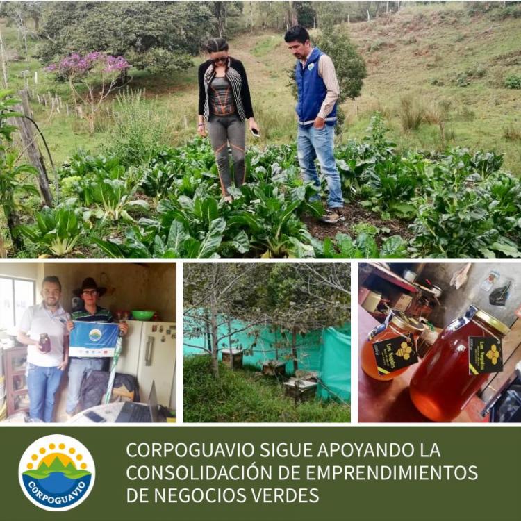 seguimiento-emprendimiento