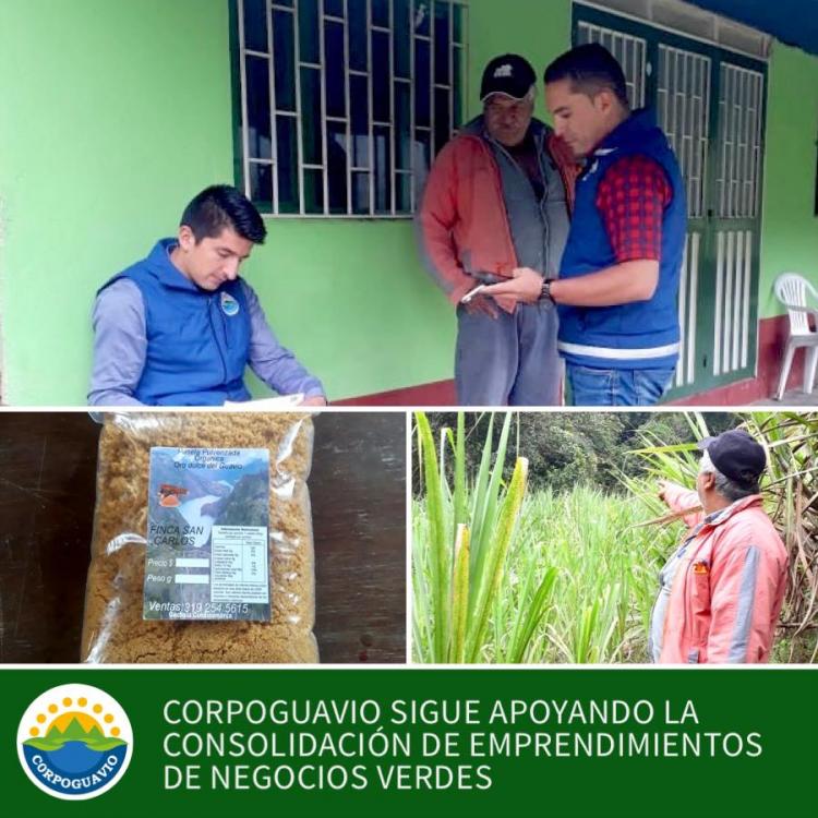 verificacion-de-criterios