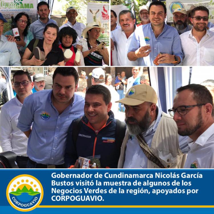 noticia
