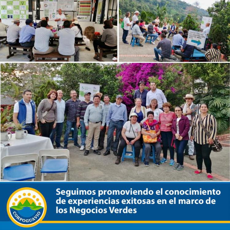 Noticia