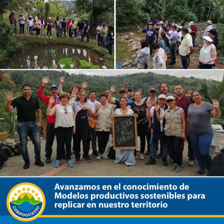 noticia