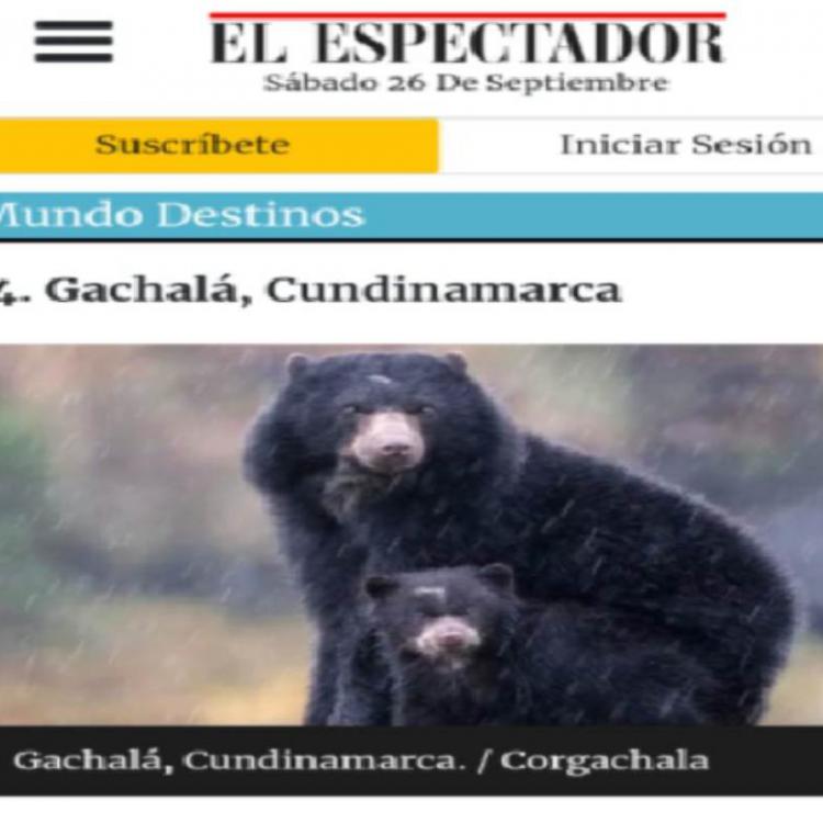 noticia